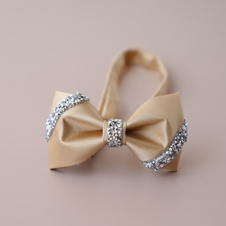 Men's Classic Rhinestone Embellished Bow Tie