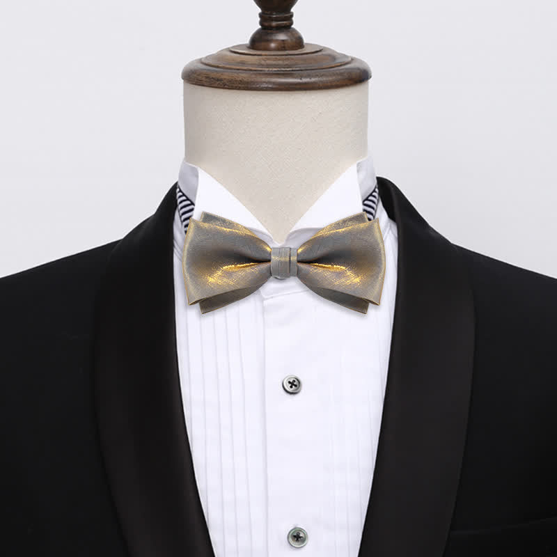 Men's Shining Gray Double Layered Bow Tie