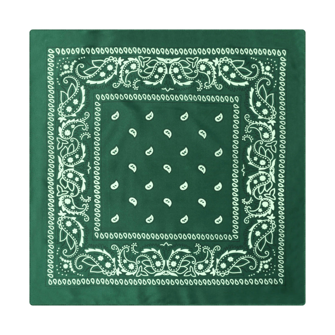 Paisley Cashew Print Pocket Square Brown Sailboat Buckle - Style #8 - image 9