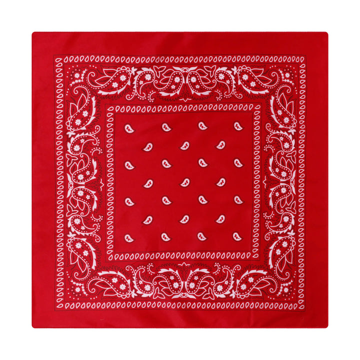 Paisley Cashew Print Pocket Square Brown Sailboat Buckle - Style #13 - image 14