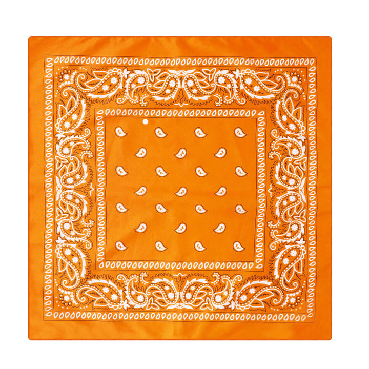 Paisley Cashew Print Pocket Square Brown Sailboat Buckle - Style #14 - image 15