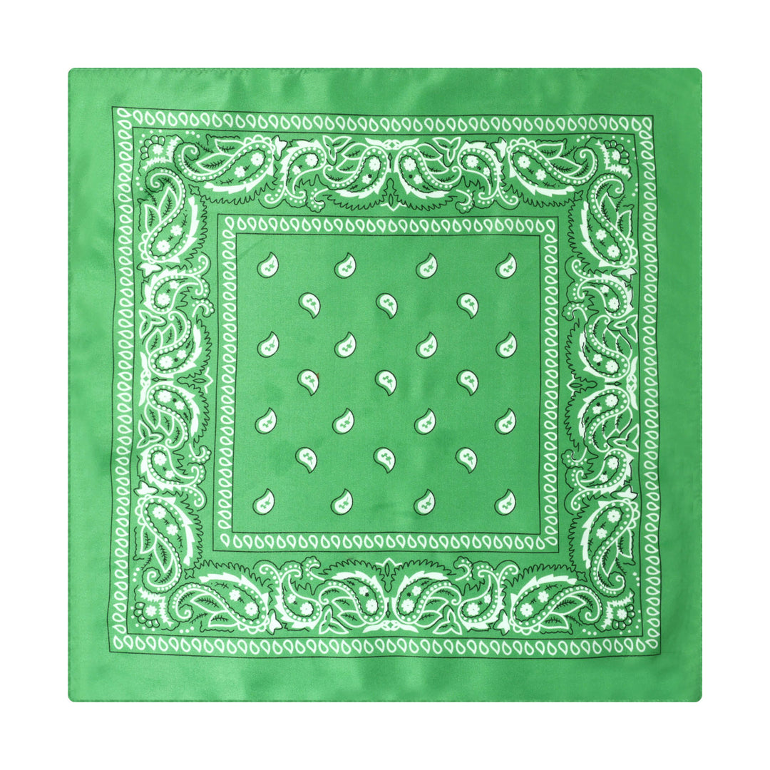 Paisley Cashew Print Pocket Square Brown Sailboat Buckle - Style #12 - image 13