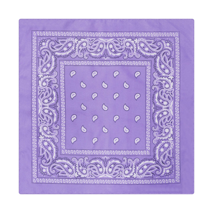 Vintage Paisley Cashew Printed Pocket Square With Silver Star Buckle - Style #4 - image 5