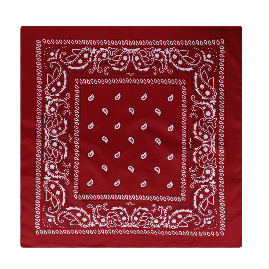 Vintage Paisley Cashew Printed Pocket Square With Silver Star Buckle - Style #18 - image 19