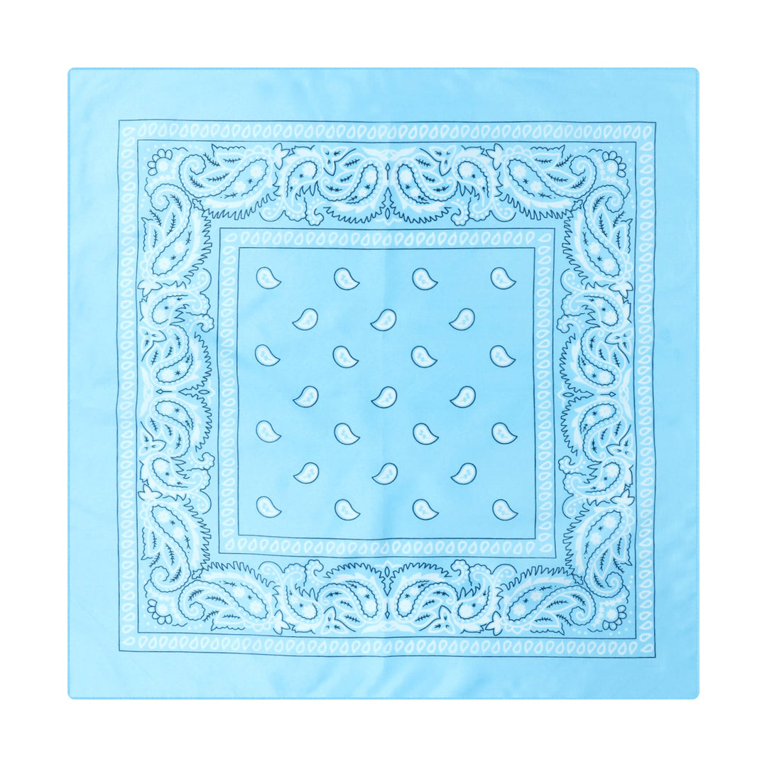 Vintage Paisley Cashew Printed Pocket Square With Silver Star Buckle - Style #11 - image 12