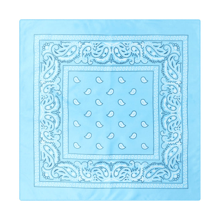 Vintage Paisley Cashew Printed Pocket Square With Silver Star Buckle - Style #11 - image 12