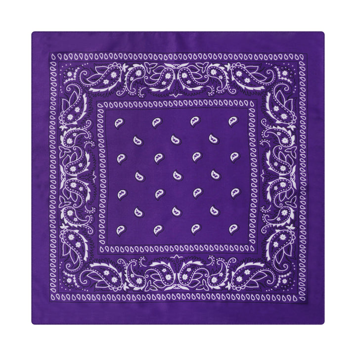 Vintage Paisley Cashew Printed Pocket Square With Silver Star Buckle - Style #6 - image 7