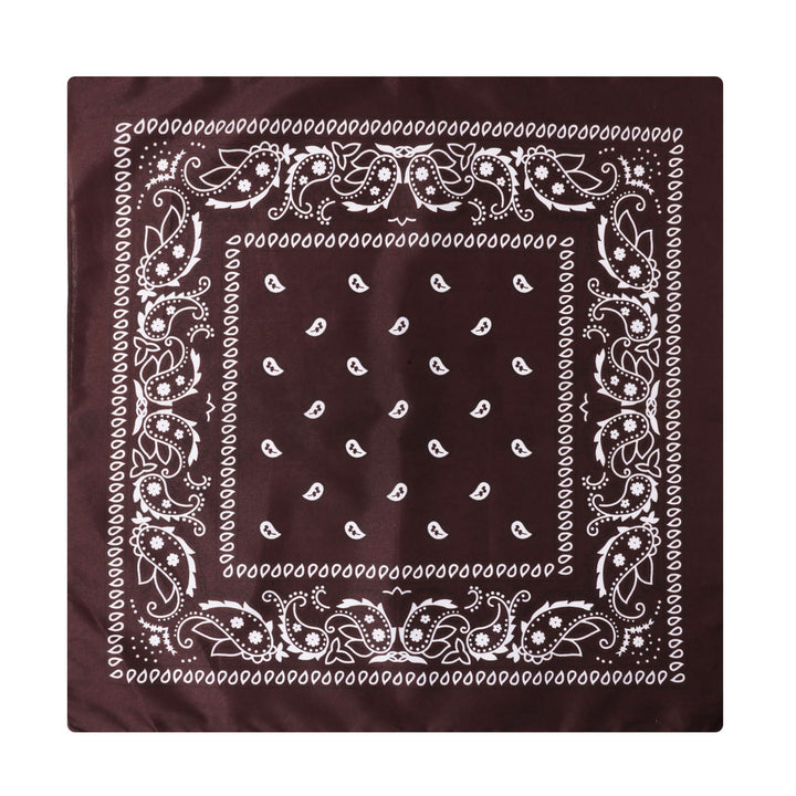 Vintage Paisley Cashew Printed Pocket Square With Silver Star Buckle - Style #16 - image 17