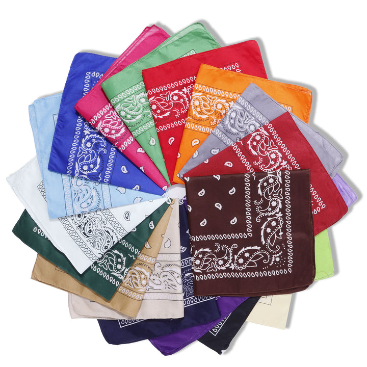 Vintage Paisley Cashew Printed Pocket Square With Silver Star Buckle - image 4