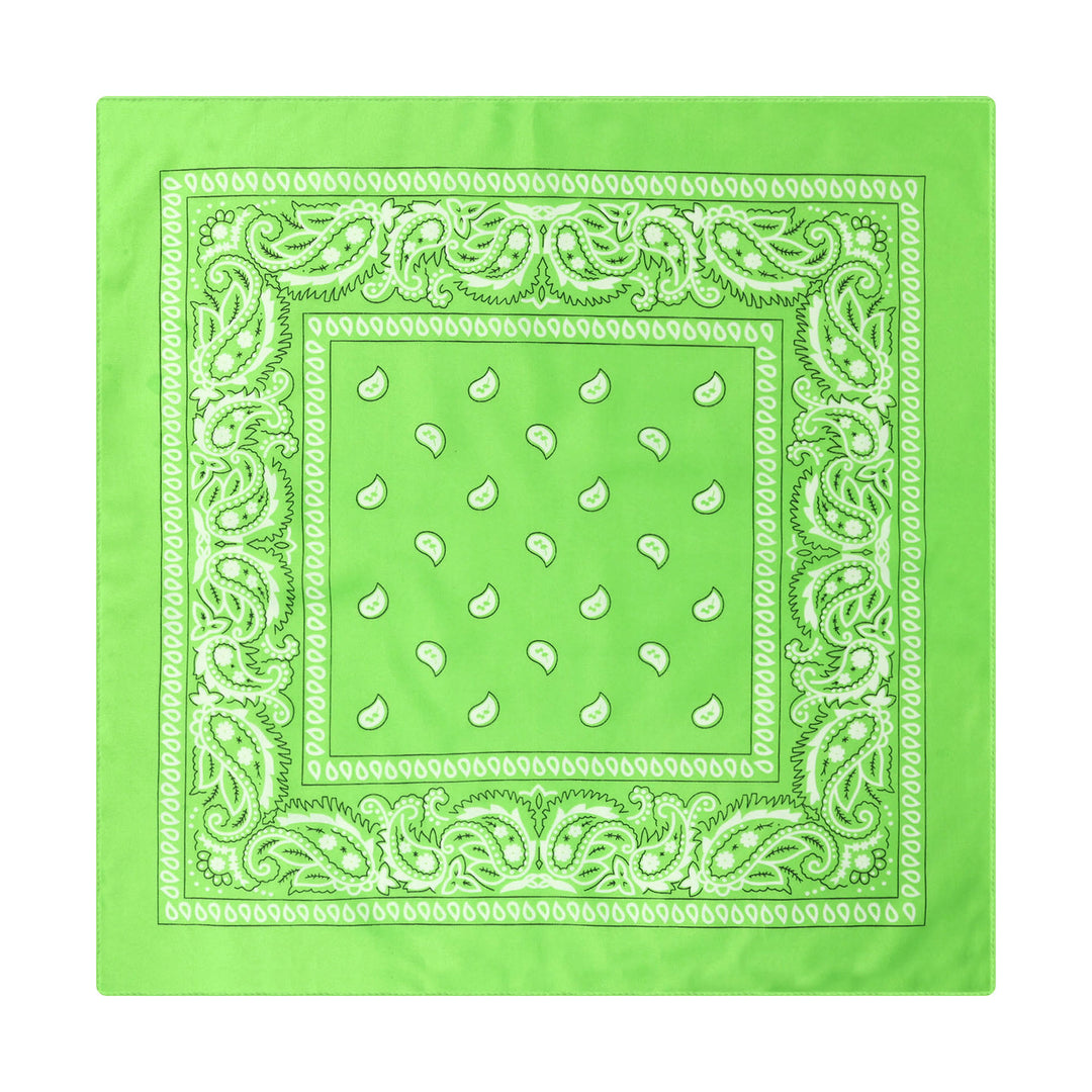 Vintage Paisley Cashew Printed Pocket Square With Silver Star Buckle - Style #5 - image 6