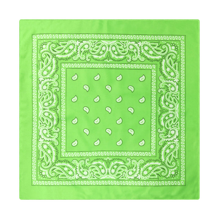 Vintage Paisley Cashew Printed Pocket Square With Silver Star Buckle - Style #5 - image 6