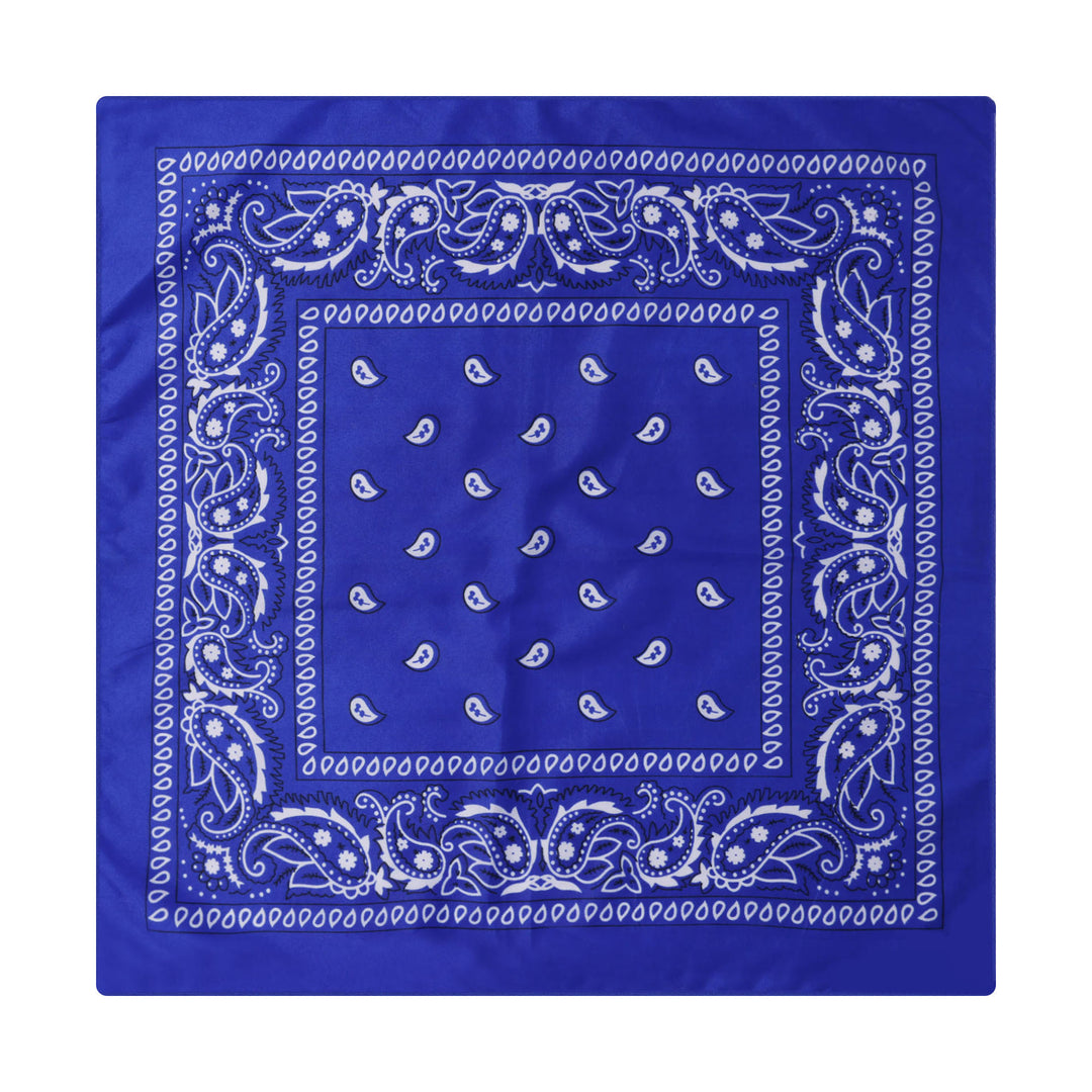 Vintage Paisley Cashew Printed Pocket Square With Silver Star Buckle - Style #12 - image 13