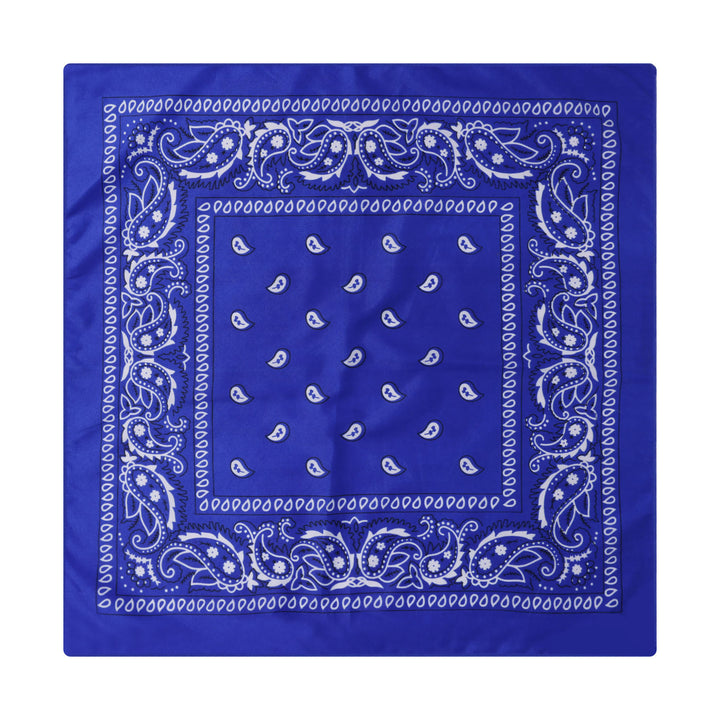 Vintage Paisley Cashew Printed Pocket Square With Silver Star Buckle - Style #12 - image 13
