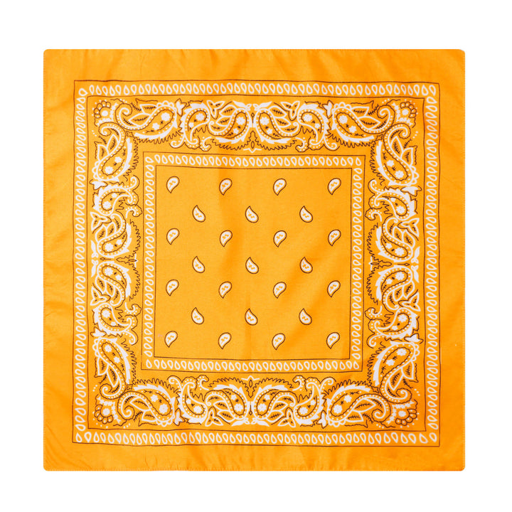 Vintage Paisley Cashew Printed Pocket Square With Silver Star Buckle - Style #17 - image 18