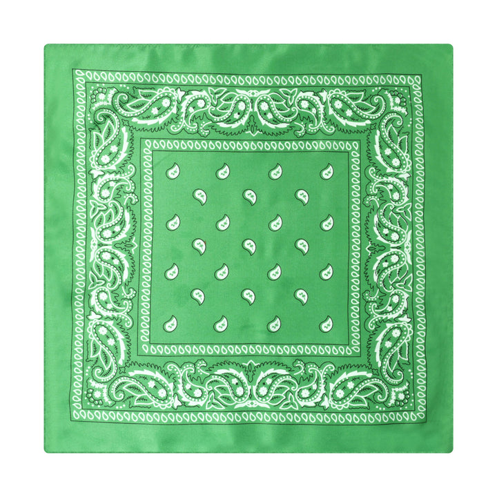 Vintage Paisley Cashew Printed Pocket Square With Silver Star Buckle - Style #13 - image 14