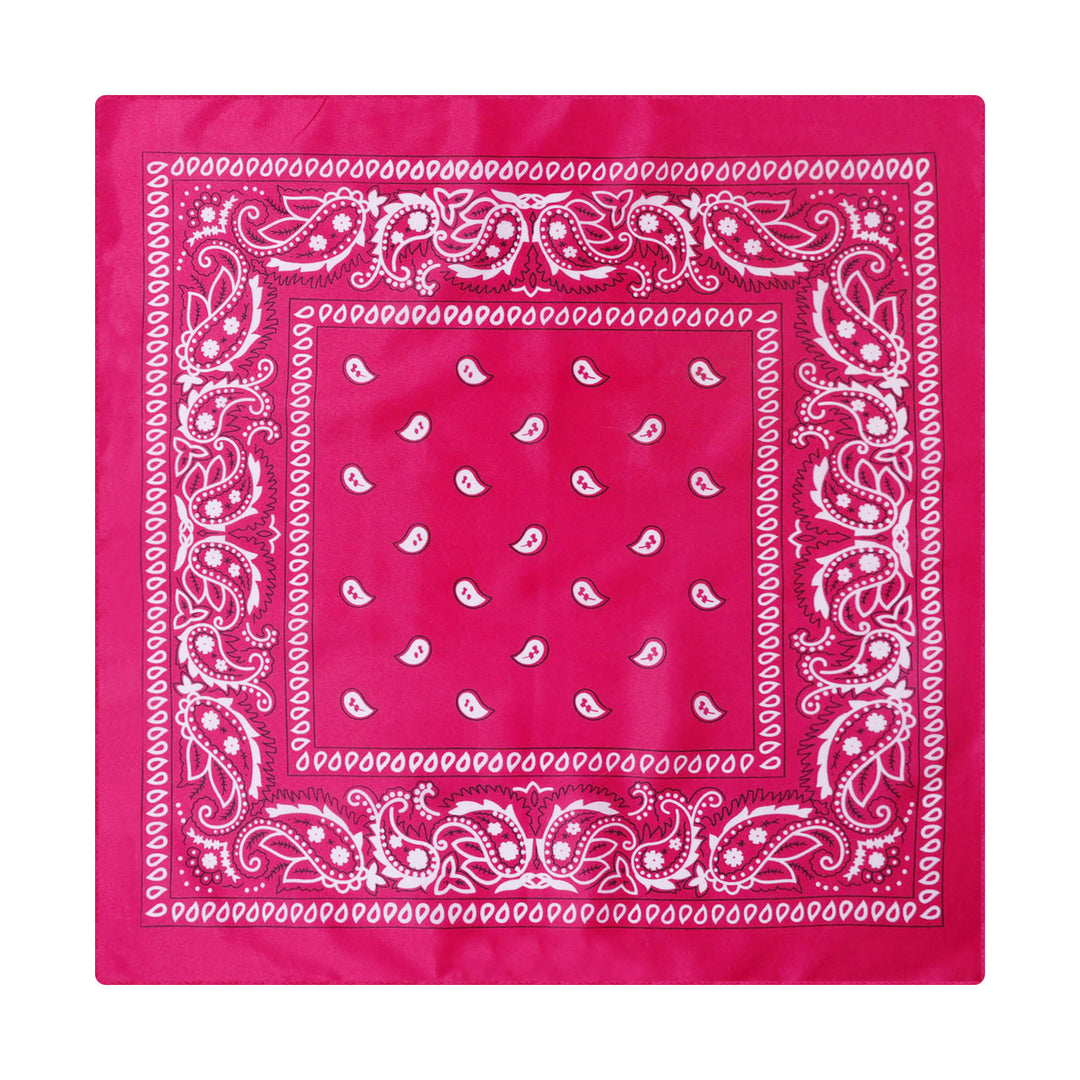 Vintage Paisley Cashew Printed Pocket Square With Silver Star Buckle - Style #19 - image 20