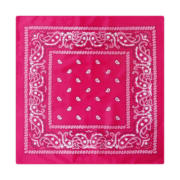 Vintage Paisley Cashew Printed Pocket Square With Silver Star Buckle - Style #19 - image 20