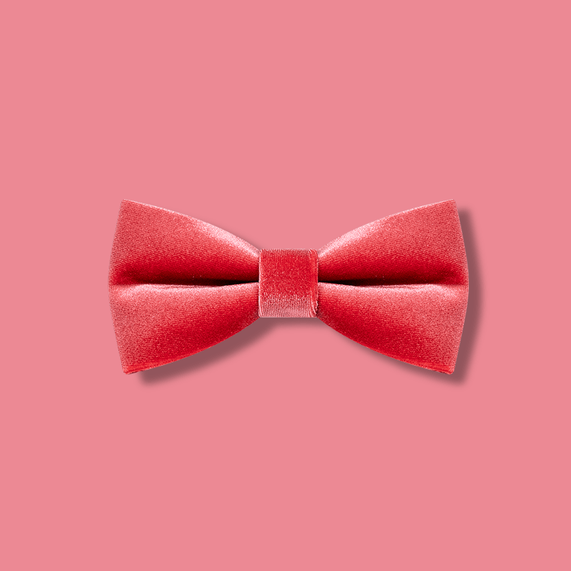 Men's Carmine Solid Color Velvet Bow Tie