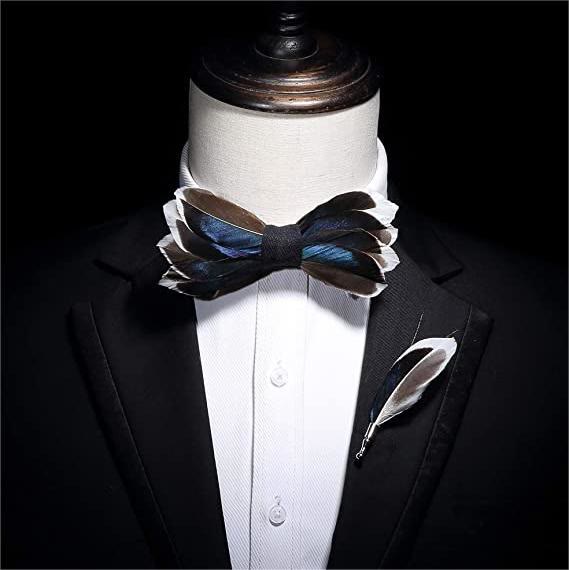 Kid's DarkBlue & Brown Graceful Feather Bow Tie with Lapel Pin