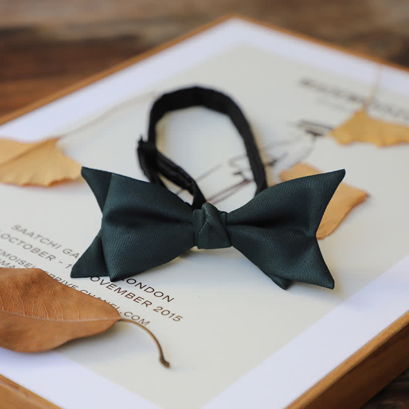 Men's Personality Narrow Style Bow Tie